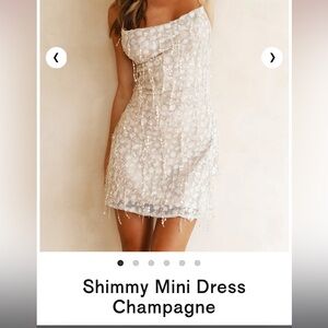 Sparkly/sequin dress